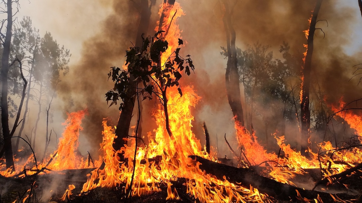Огнестойкие композиты ВолгГТУ