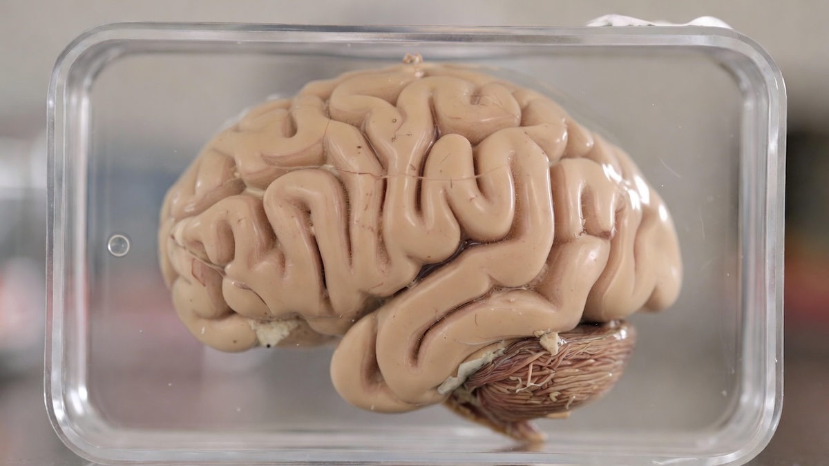 Сколько вмещает память