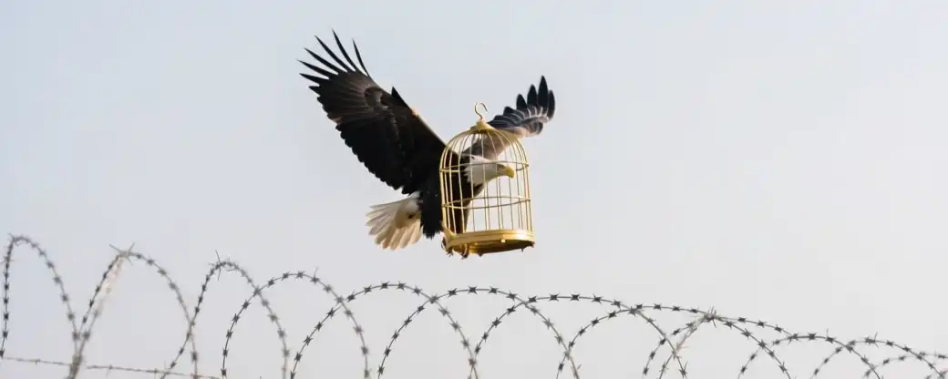 Защита Антона Астахова Не Устанет Бороться за Свободу