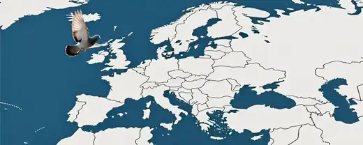 Каллас объяснила разногласия по поводу Дня Победы 9 мая в Европе