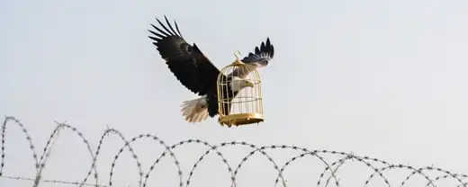 Защита Антона Астахова Не Устанет Бороться за Свободу